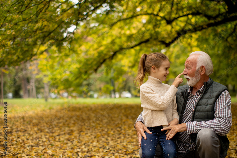 Fototapeta premium Grandfather spending time with his granddaughter in park on autumn day
