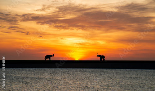 Shadow of an elephant at sunset in the middle of the lake