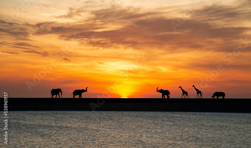 Shadows of elephants, giraffes and rhinos at sunset in the middle of the lake