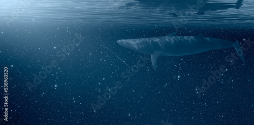 Whale floating over the stars 