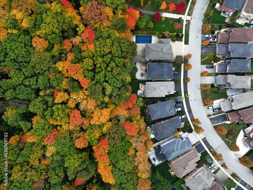 Aerial view of detached house neighbourhood community street with autumn trees surrounding