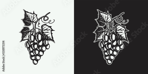 Vintage retro wine grape. Can be used like emblem, logo, badge, label. mark, poster or print. Monochrome Graphic Art. Vector Illustration.