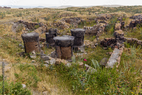 Column ruins in the ancient city Ani, Turkey