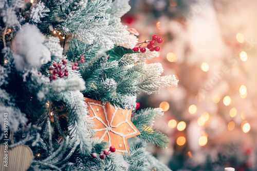 Christmas red pine tree with background bokeh light, New Year sign. Copy space banner photo