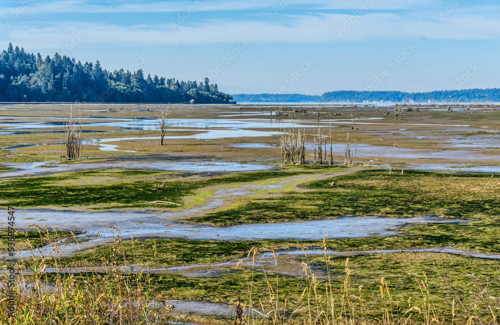 Washington Wetlands Landscape 8