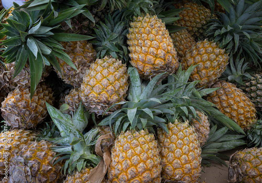 Pineapples on sale on market stall in Pointe à Pitre, Guadeloupe, French West Indies Pineapples on sale on market stall in Pointe à Pitre, Guadeloupe, French West Indies