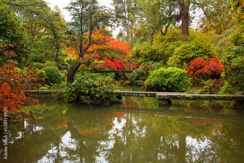 Beautiful fall colors and reflections at Kubota Garden in Seattle, WA
 photo