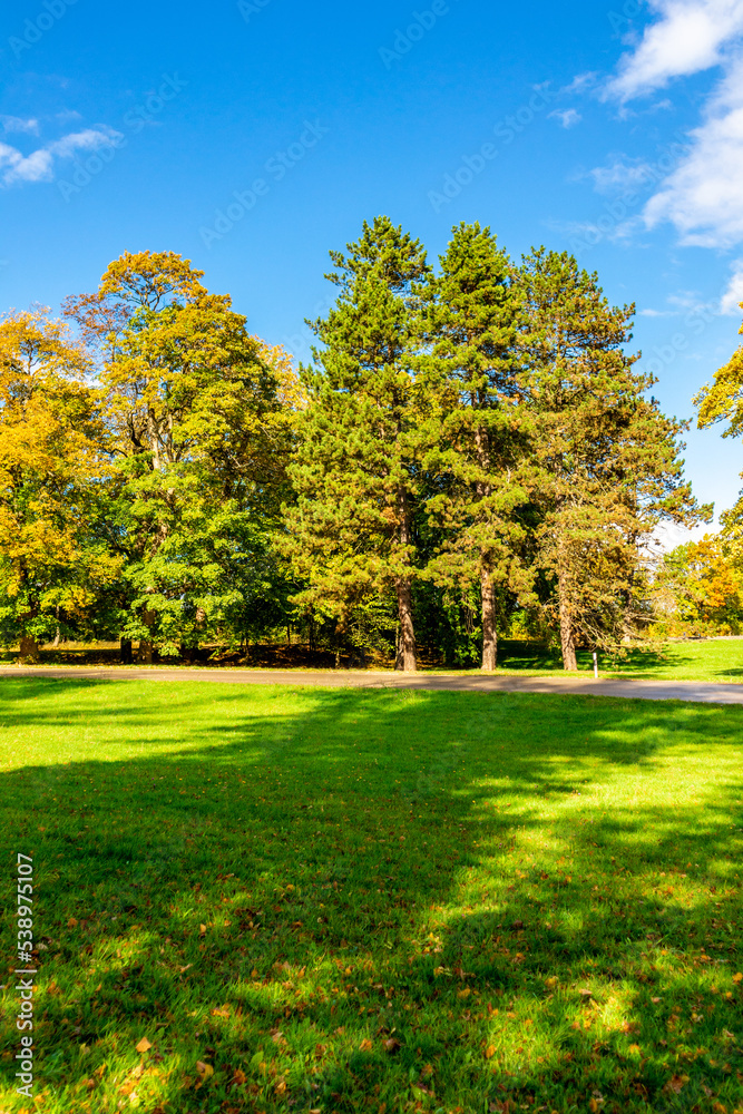 Fototapeta premium Herbstspaziergang durch den wunderschönen Bergpark Kassel Wilhelmshöhe - Hessen - Deutschland