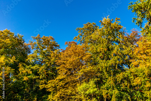 Herbstspaziergang durch den wundersch  nen Bergpark Kassel Wilhelmsh  he - Hessen - Deutschland