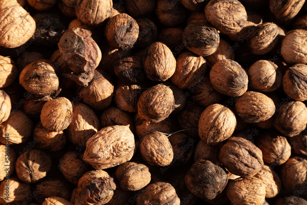 Walnuts background texture, unshelled and unprocessed healthy food, in warm autumnal tones Walnuts background texture, unshelled and unprocessed healthy food, in warm autumnal tones