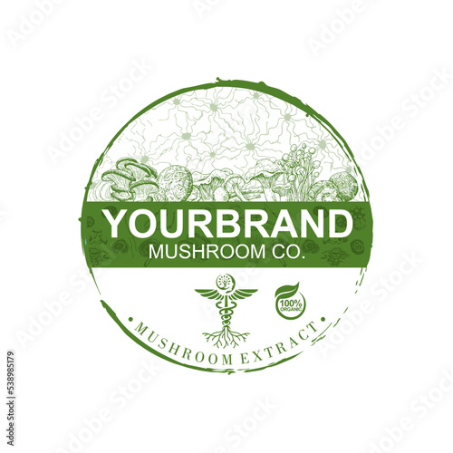 Vector colored Logo with Porcini mushroom (Cep, King Bolete, Boletus edulus) on forest glade. Organic, bio food style. Design element, icon, emblem and badge