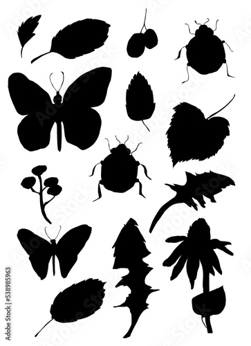 Watercolor Botanical Set with different Silhouettes. Birds, herbs, plants, berries, and beetles.