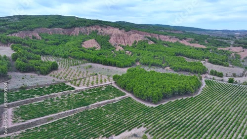 Eroded landscape and pine forests in the Cárcavas de Morata de Jiloca. Aerial view from a drone. Morata from Jiloca. Saragossa. Aragon. Spain. Europe photo