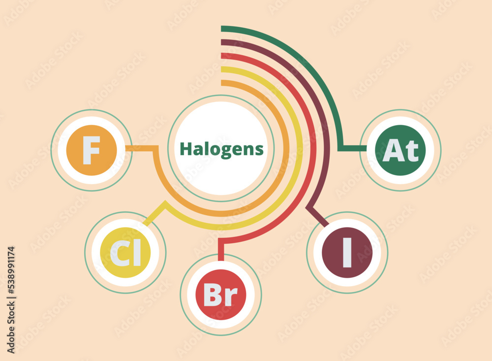 Halogens. 7A group of the periodic table. Vector illustration. Chemical