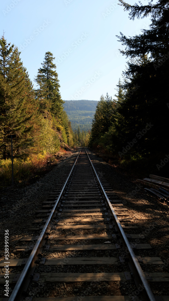 Obraz premium Railway tracks.