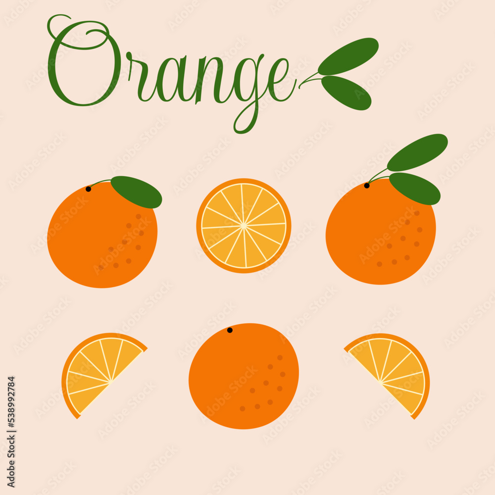 Vector illustration. Orange collection in a flat style. Vector illustration. Orange collection in a flat style.