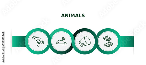editable thin line icons with infographic template. infographic for animals concept. included condor, mouse toy, elizabethan collar, japan koi fish icons.