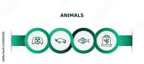 editable thin line icons with infographic template. infographic for animals concept. included pekingese, coelodonta, carp, herpetarium icons. photo