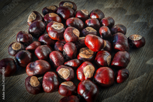 Chestnuts, conkers in the sunshine. photo