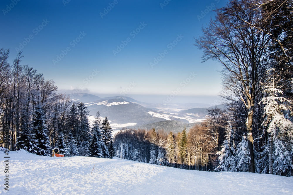 Obraz na płótnie Zimowy krajobraz górski w salonie