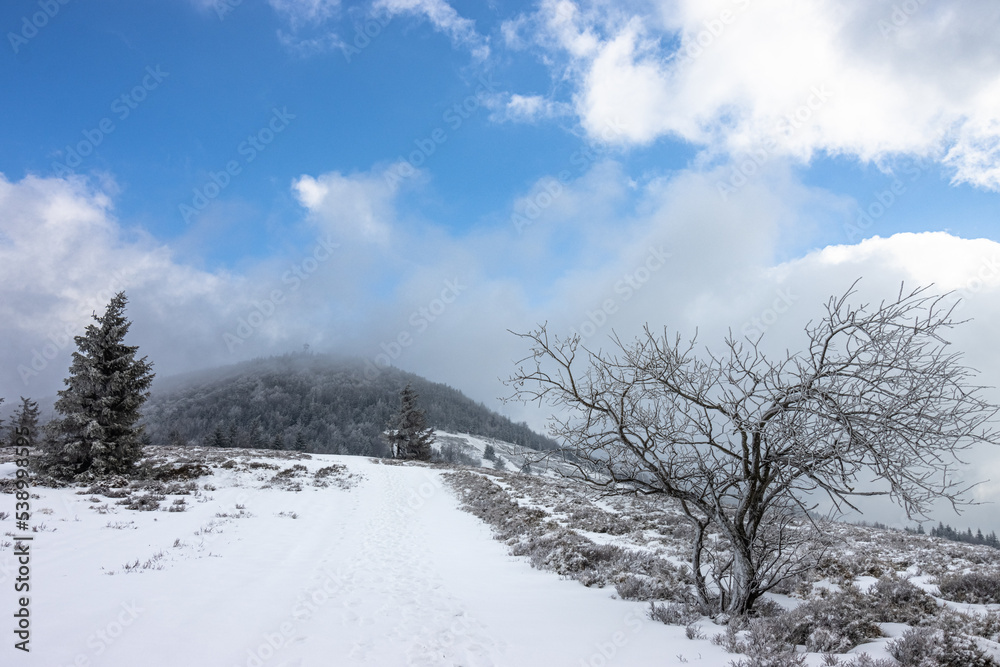 Zimowy krajobraz górski
