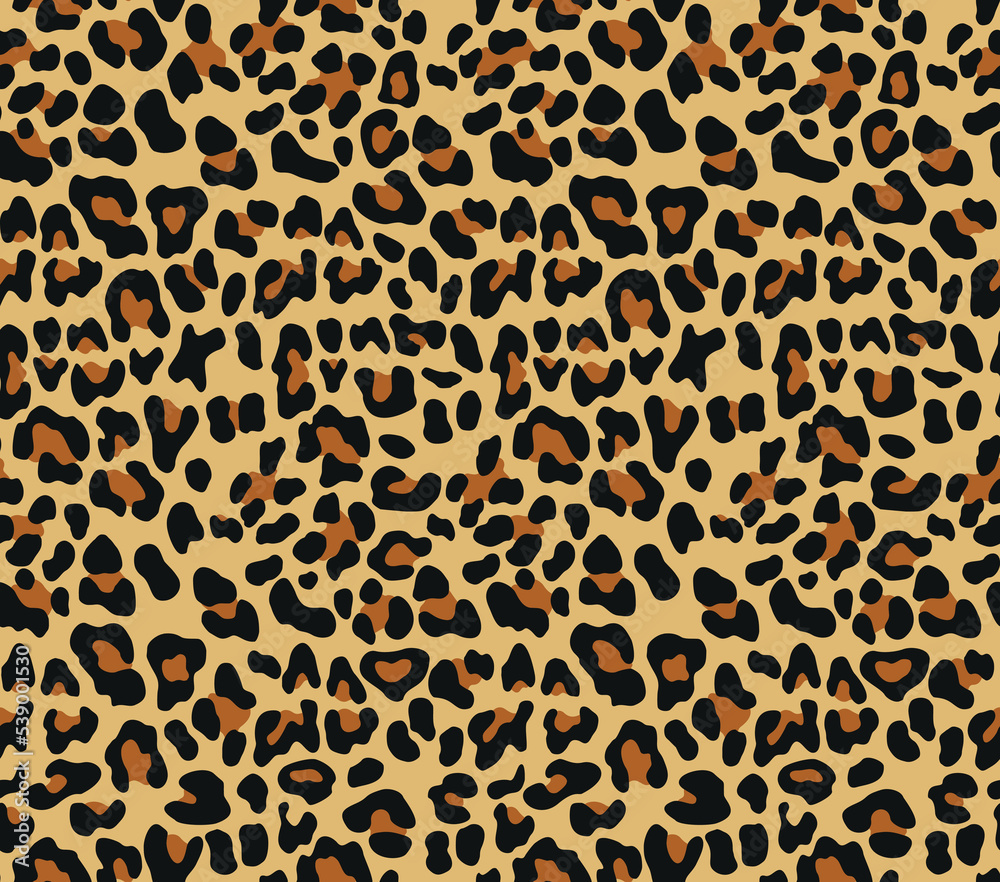 Animal leopard vector design wild cat seamless print Animal leopard vector design wild cat seamless print