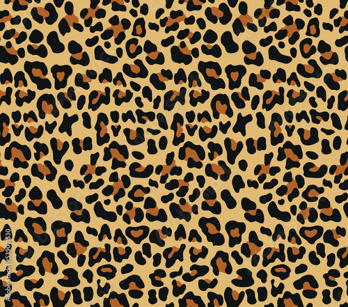 Animal leopard vector design wild cat seamless print