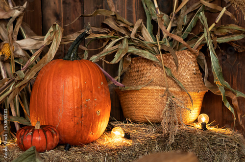 orange pumpkin on hay, halloween concept