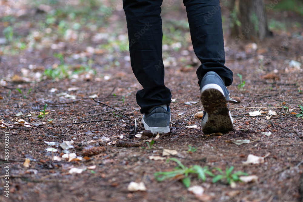 close up feet of person walking in the forest, trail hiking close up feet of person walking in the forest, trail hiking