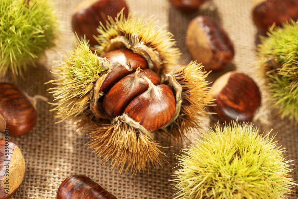 Ripe chestnuts close up. Sweet edible chestnuts. Husked chestnuts, chestnuts with skin. Organic food. Harvest Ripe chestnuts close up. Sweet edible chestnuts. Husked chestnuts, chestnuts with skin. Organic food. Harvest