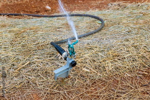 Watering yard with lawn sprinkler while landscaping gardening near new home