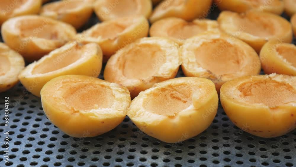Orange apricots undergo the process of drying and harvesting for the winter. Processing and teaching of dried fruits at home Orange apricots undergo the process of drying and harvesting for the winter. Processing and teaching of dried fruits at home