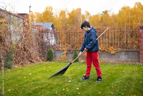 Little boy with a rake cleaning fallen leaves in the autumn yard garden. Kids and housework concept. Little boy helping with backyard cleaning. Children play outdoors. Little helper.