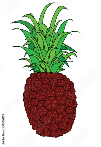 Colorful pineapple vector art design.Best graphic resources illustration. vector graphic design for icons and symbols and logo designing and stationery and print media purpose and etc.