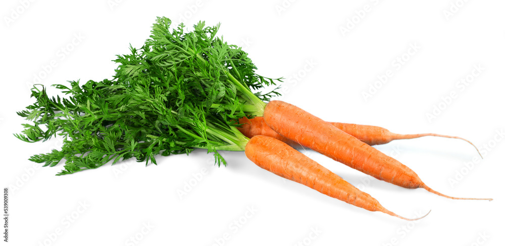 Obraz na płótnie Fresh carrots - isolated image w salonie