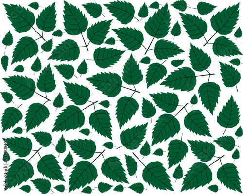 Illustration Vector Background of Beautiful Fresh Green Leaves on Tree Branches.
