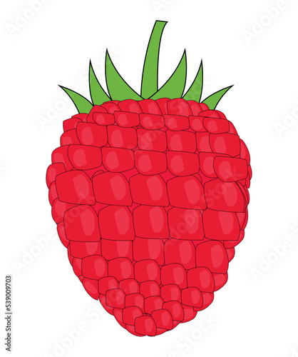 Colorful Raspberry vector design art. Best graphic resources illustration. vector graphic design for icons and symbols and logo designing and stationery and print media purpose and etc.