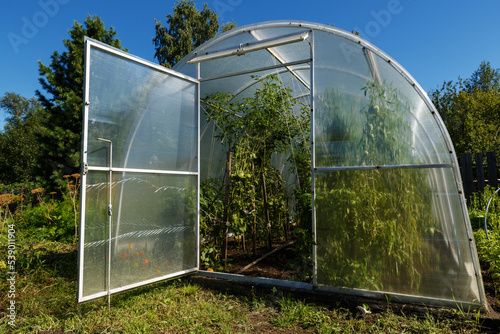 polycarbonate greenhouse in the garden. Open door to the greenhouse for tomatoes. © Mieszko9