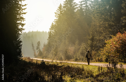 person in the forest