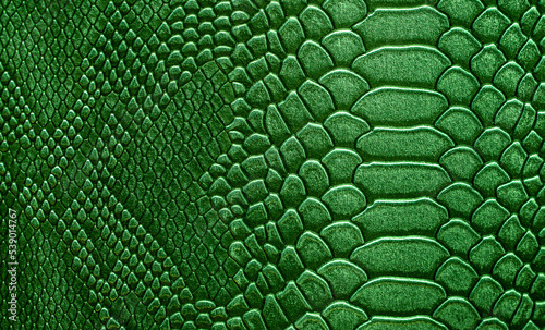 Beautiful green bright snake or crocodile skin, reptile skin texture, multicolored close-up as a background. © Vera