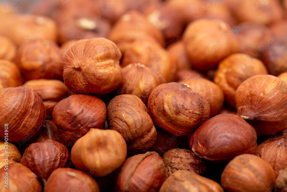 Heap of hazelnuts close-up. Peeled nuts. Hazelnut isolated on white background. Heap of hazelnuts close-up. Peeled nuts. Hazelnut isolated on white background.