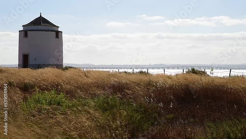 Old mill next to Praia dos Moinhos beach in Alcochete, Portugal and wind rocking yellow grass photo
