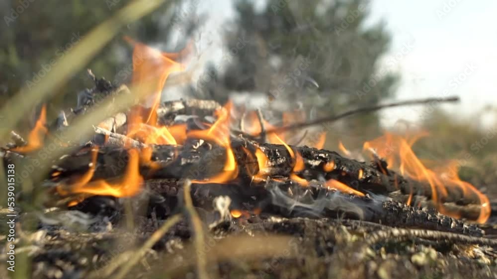 a fire is burning in the meadow a fire is burning in the meadow