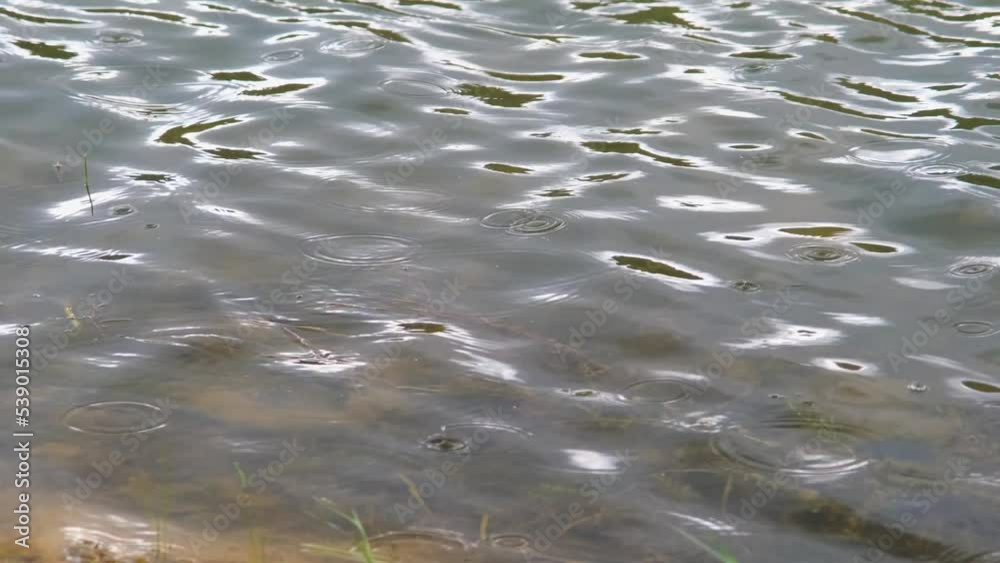 Rain on the lake, water ripples forming on the reflective lake, rainy day concept, close up lake and rain drops Rain on the lake, water ripples forming on the reflective lake, rainy day concept, close up lake and rain drops