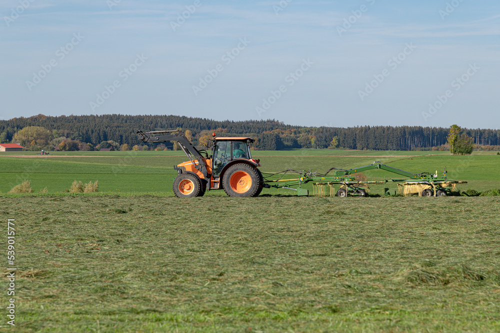 Obraz premium The tractor in the field loosens the cut grass with a rotary harvester for better drying.