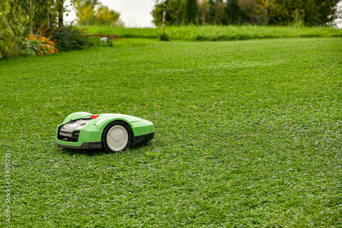 Obraz na plátně Autonomous electric lawn mower mows grass in the yard of a private house