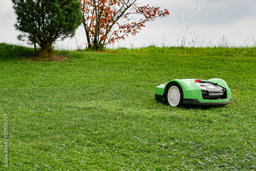 Fotografie Autonomous electric lawn mower mows grass in the yard of a private house