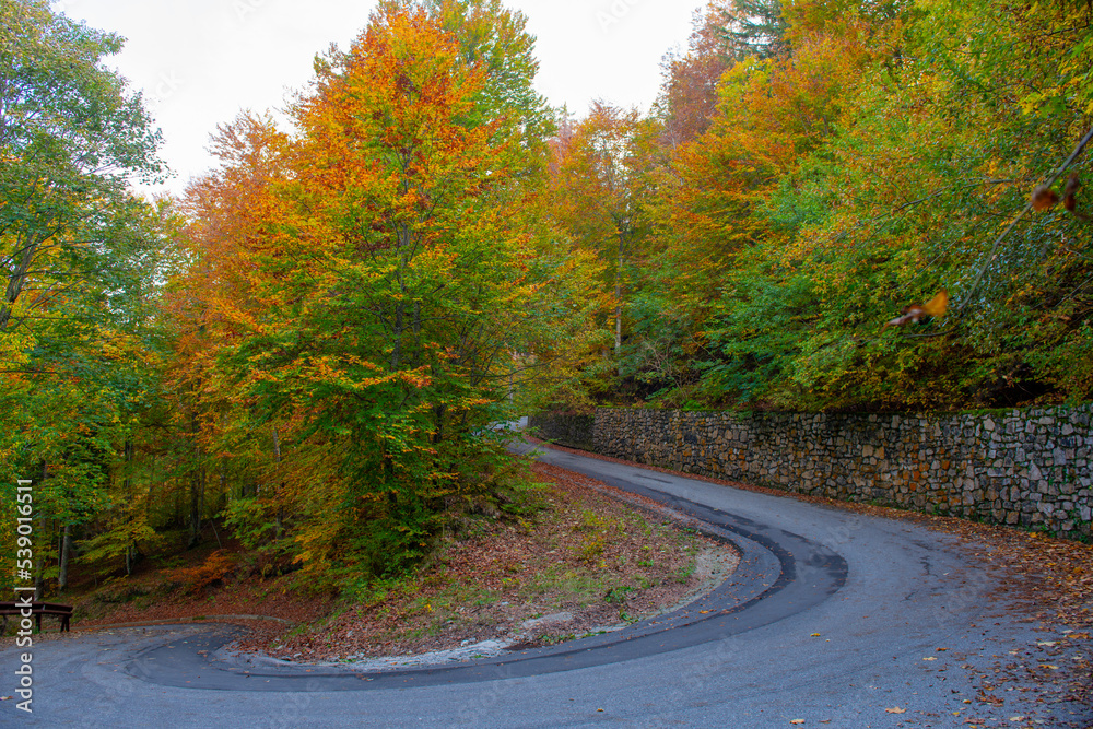 Mountain road in the autumn