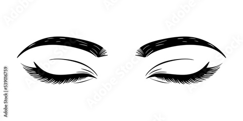 Illustration of a luxurious female closed eyes with perfectly shaped eyebrows and full eyelashes. Hand drawn closed eyes idea for business card, typography vector. Perfect view of the salon. Vector
