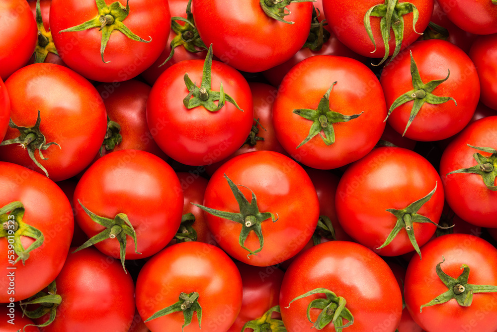 Full frame background pattern of fresh tomatoes, close up, high angle view Full frame background pattern of fresh tomatoes, close up, high angle view